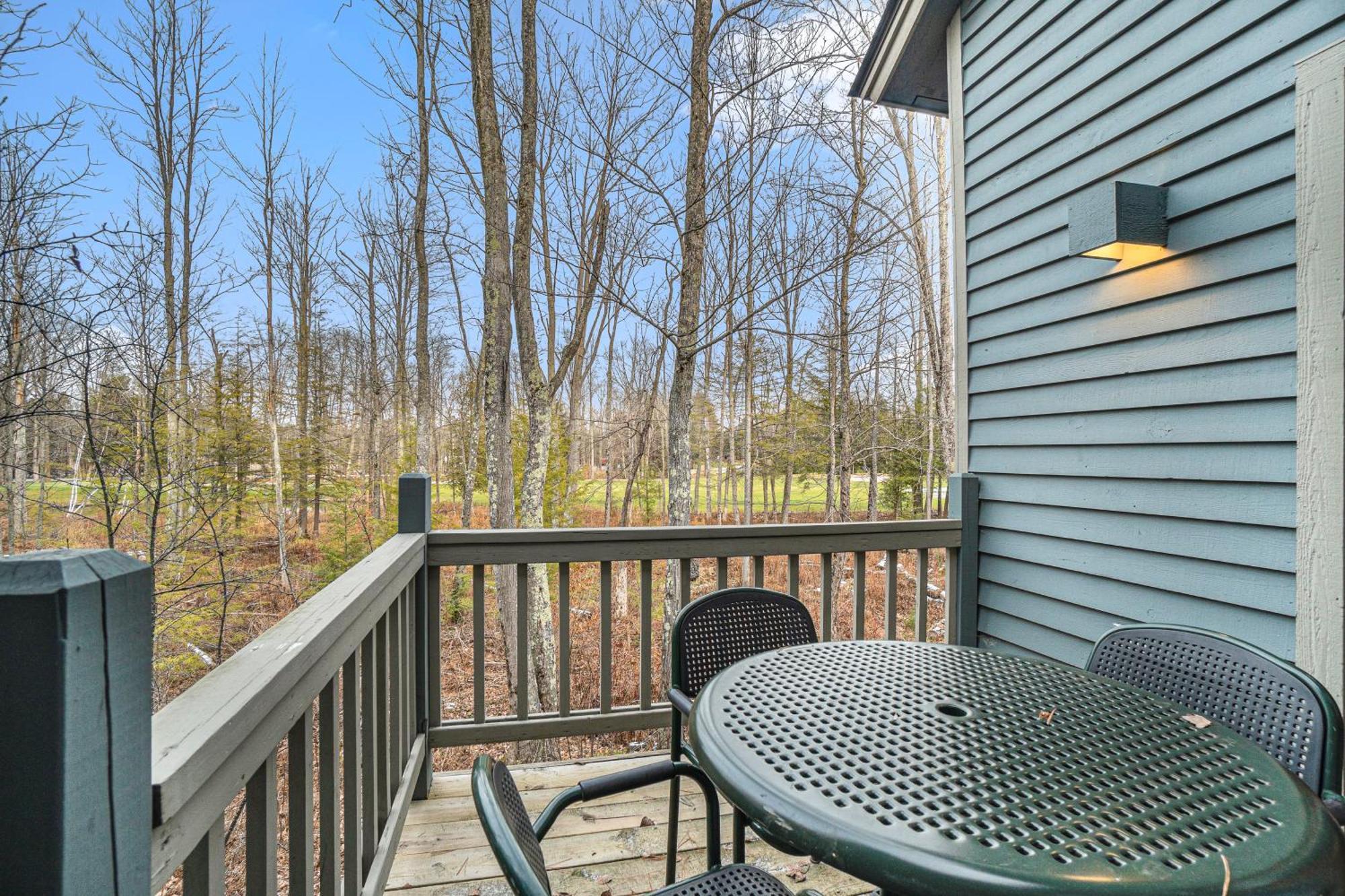 Wintergreen Condos Thompsonville Room photo
