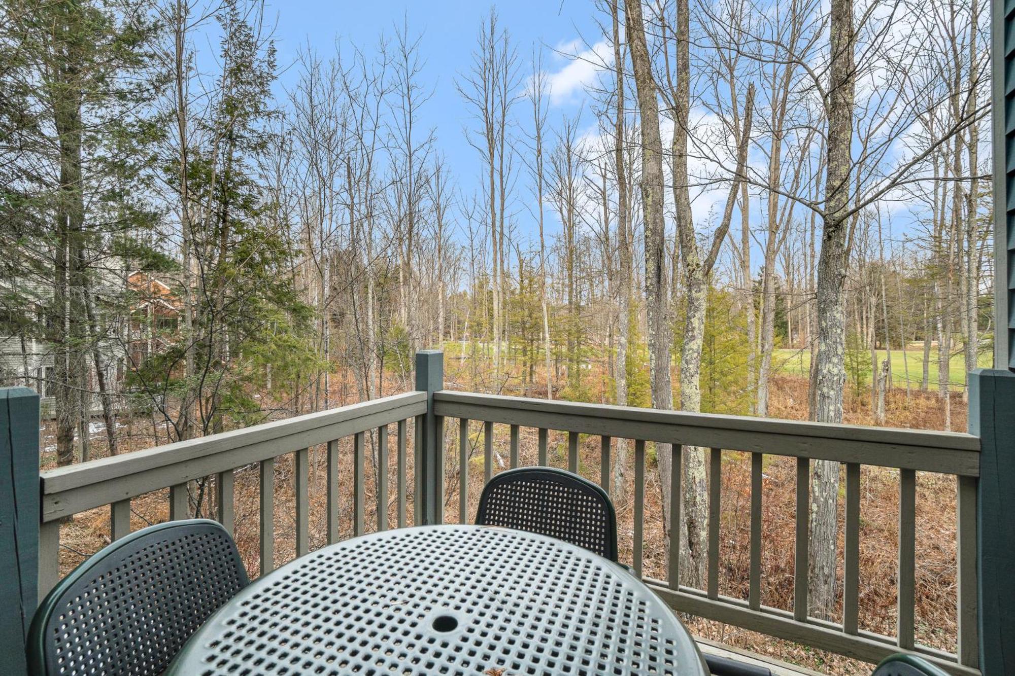 Wintergreen Condos Thompsonville Room photo