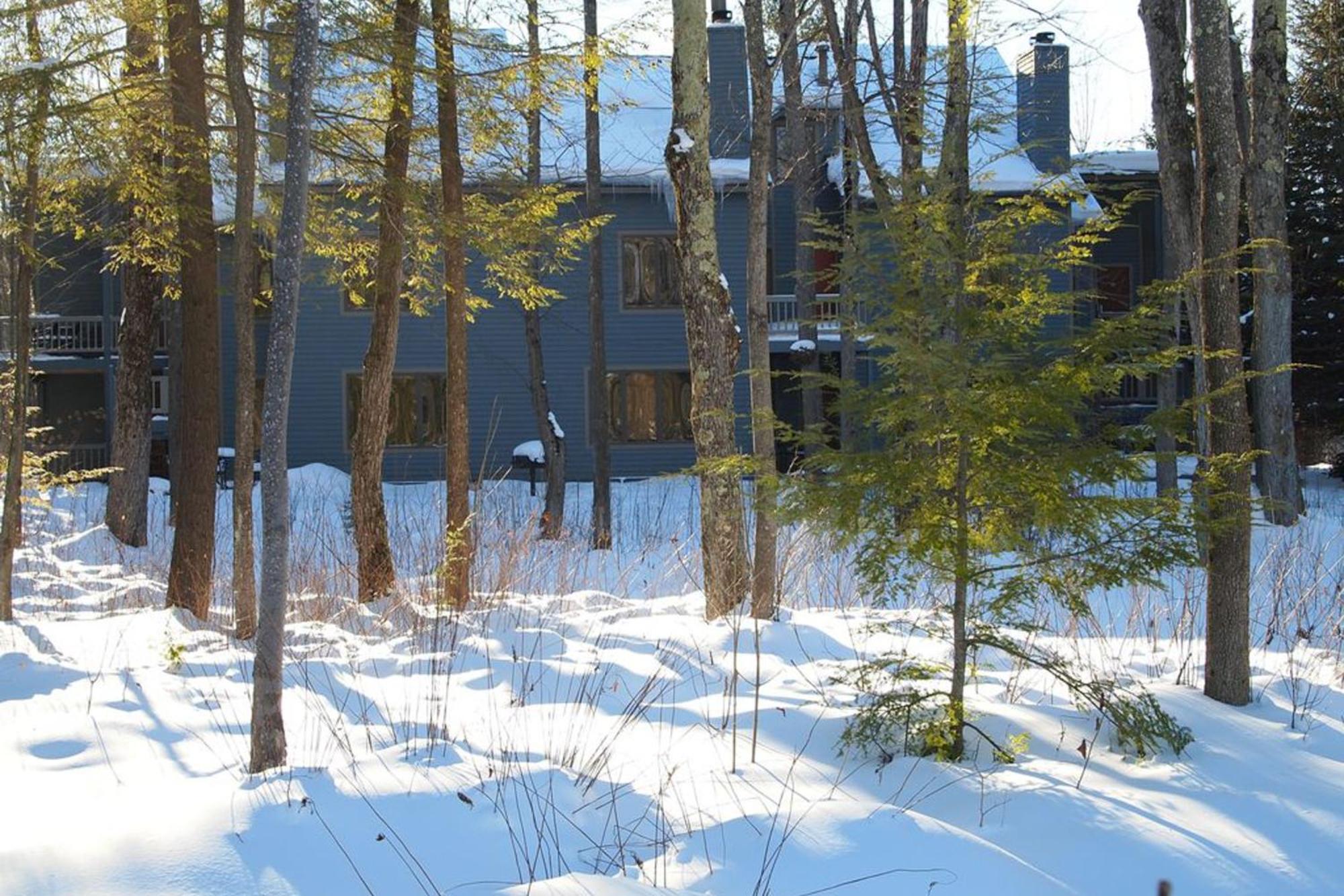 Wintergreen Condos Thompsonville Room photo
